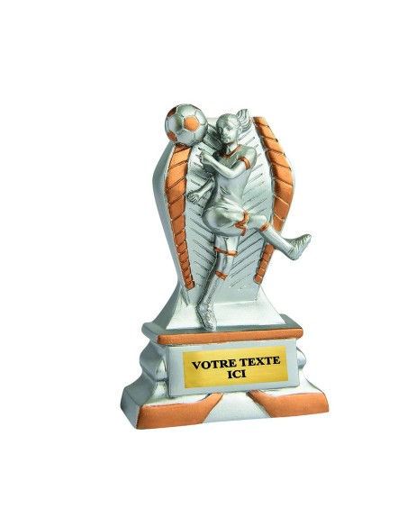 Trophée résine discipline éco argent/or football | Récompense de Qualité...