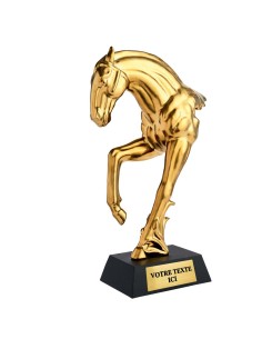 Trophée équitation or | Récompense de Qualité | TC5109