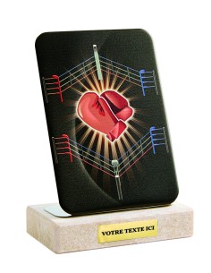 Petit trophée métal sports de combat | Récompense de Qualité | TM4844-24