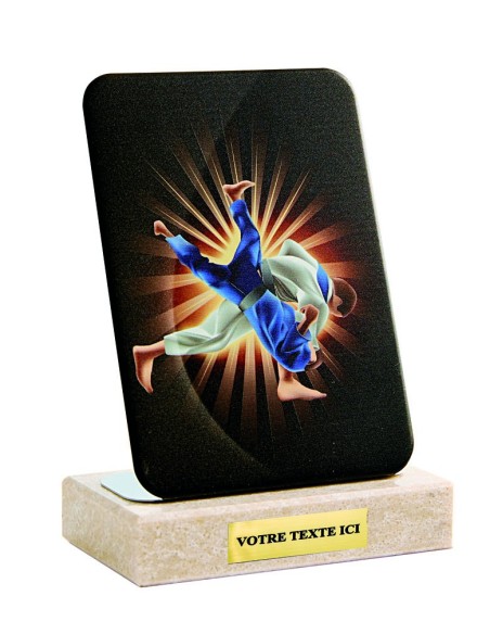 Petit trophée métal judo | Récompense de Qualité | TM4844-31