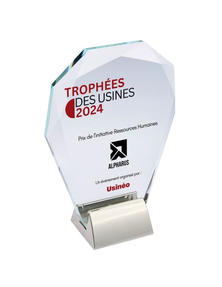 Trophée en Verre | Élégance et Distinction | TV5097