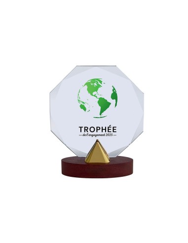 Trophée en Verre | Élégance et Distinction | TV5102C