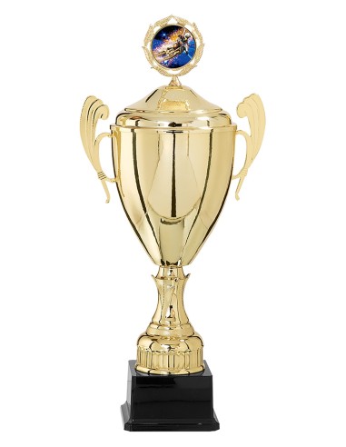 Coupe personnalisée métal | Récompense de Qualité | FSP-5814W