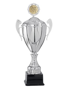Coupe personnalisée métal | Récompense de Qualité | FSP-5822W