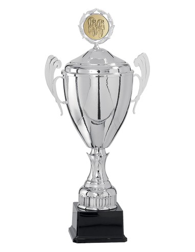 Coupe personnalisée métal | Récompense de Qualité | FSP-5825W