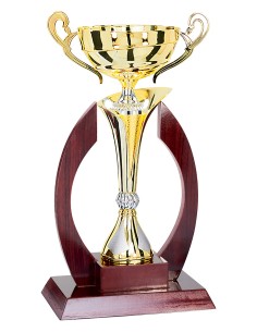 Trophée en Bois | Naturel et Authentique | FSP-5931