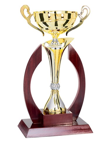 Trophée en Bois | Naturel et Authentique | FSP-5931