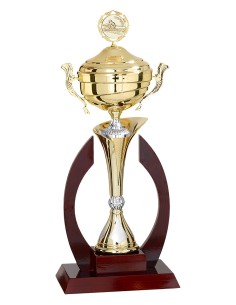 Coupe personnalisée métal | Récompense de Qualité | FSP-5931W
