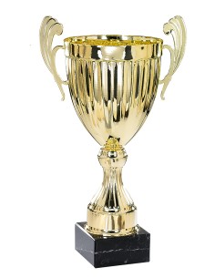 Coupe prestige métal | Récompense de Qualité | FSP-6132