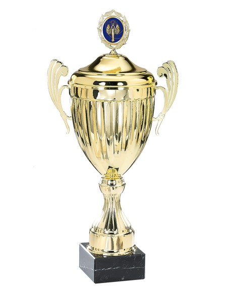 Coupe personnalisée métal | Récompense de Qualité | FSP-6135W