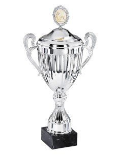 Coupe personnalisée métal | Récompense de Qualité | FSP-6152W