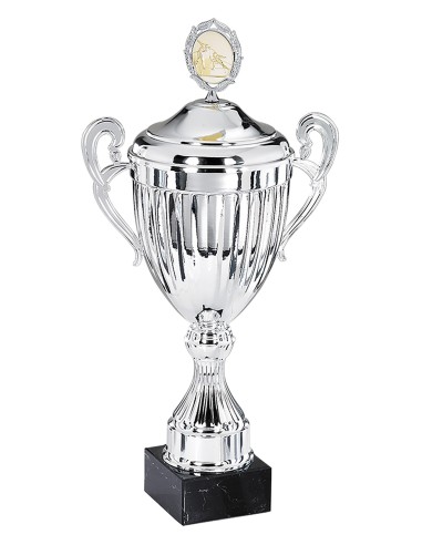 Coupe personnalisée métal | Récompense de Qualité | FSP-6154W