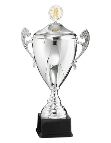 Coupe personnalisée métal | Récompense de Qualité | FSP-6523W
