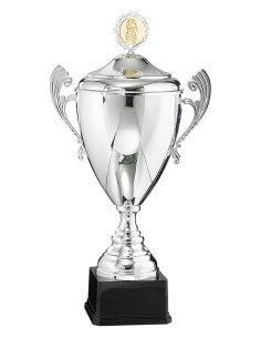 Coupe personnalisée métal | Récompense de Qualité | FSP-6525W