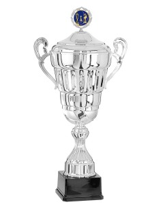Coupe personnalisée métal | Récompense de Qualité | FSP-6701W