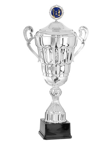 Coupe personnalisée métal | Récompense de Qualité | FSP-6702W