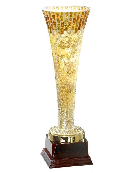 Trophée en Verre | Élégance et Distinction | FSP-7213