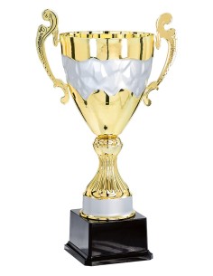 Coupe prestige métal | Récompense de Qualité | FSP-5983
