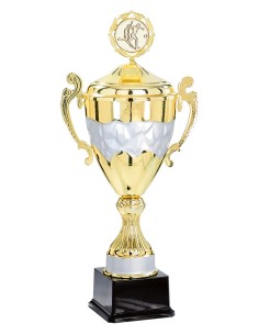 Coupe personnalisée métal | Récompense de Qualité | FSP-5982W