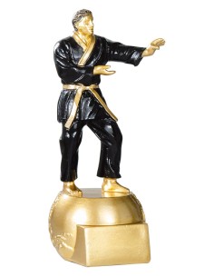 Trophée karate | Récompense de Qualité | FSP-71518
