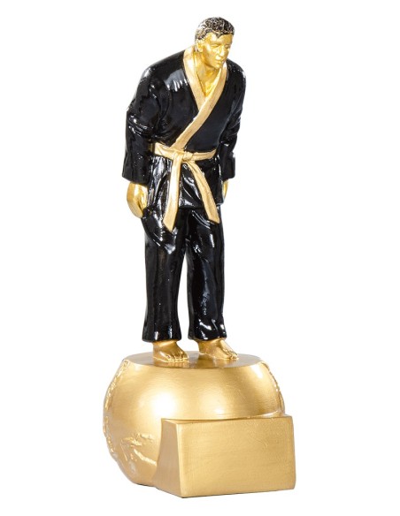 Trophée judo | Récompense de Qualité | FSP-71516
