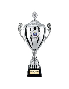 Coupe classique argent H44cm CP4291CV | Trophée Sportif