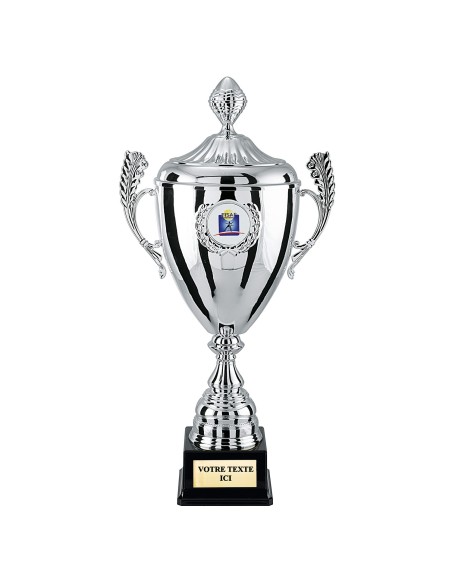 Coupe classique argent H44cm CP4291CV | Trophée Sportif