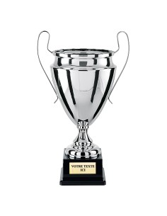 Coupe prestige 100% métal argent CP4306D | Trophée Sportif