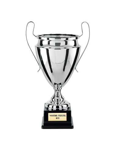 Coupe prestige 100% métal argent CP4306D | Trophée Sportif