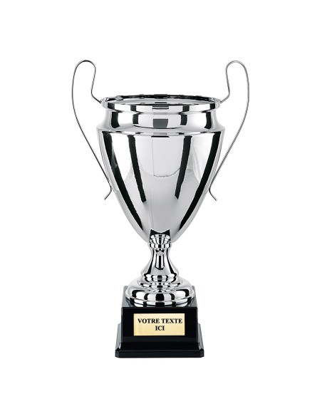 Coupe prestige 100% métal argent CP4306D | Trophée Sportif