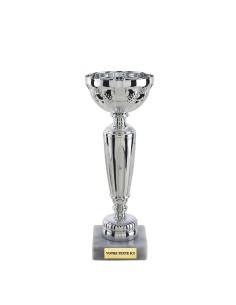 Coupe économique argent H21cm CP5392A | Trophée Sportif