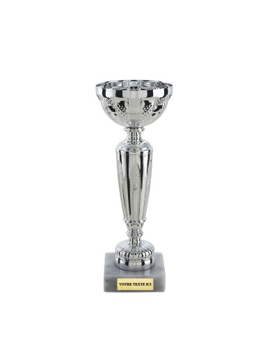 Coupe économique argent H21cm CP5392A | Trophée Sportif
