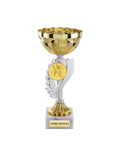 Coupe économique or/argent H17cm CP5393E | Trophée Sportif