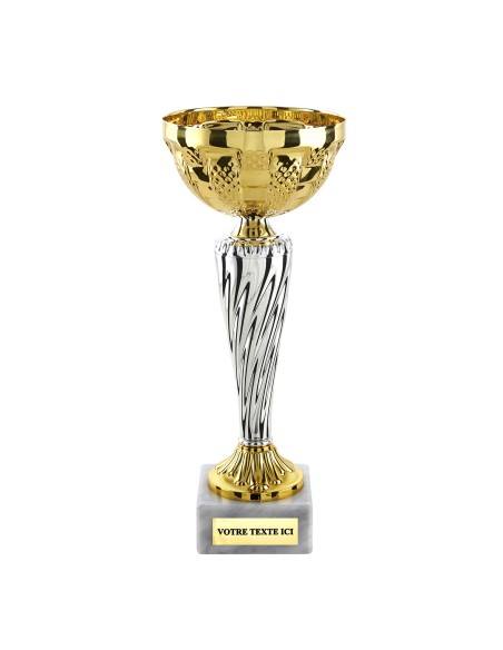 Coupe économique or/argent H24cm CP5394A | Trophée Sportif
