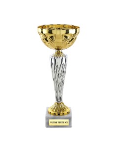 Coupe économique or/argent H21cm CP5394C | Trophée Sportif
