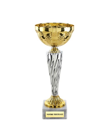 Coupe économique or/argent H21cm CP5394C | Trophée Sportif