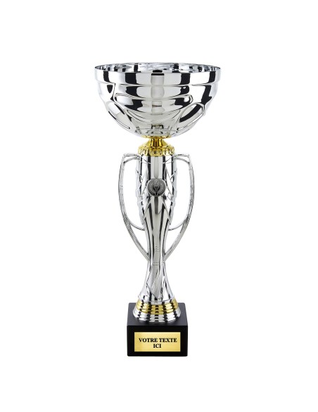 Coupe classique argent/or H30cm CP5398D | Trophée Sportif