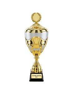 Coupe classique or/argent mat CP5405B | Trophée Sportif