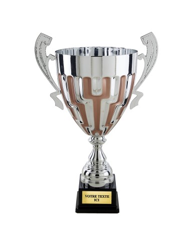 Coupe prestige argent/bronze H54cm CP5413 | Trophée Sportif