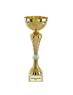 Coupe classique or/argent mat CP5420A | Trophée Sportif