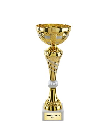Coupe classique or/argent mat CP5420B | Trophée Sportif