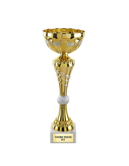 Coupe classique or/argent mat CP5420C | Trophée Sportif