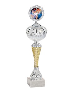Coupe Économique métal avec couvercle - 32 cm - Argent / Or - Réf FSP-1423WS08C