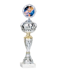 Coupe Économique Métal avec couvercle - 31 cm - Argent / Or - Réf FSP-1453WS08C