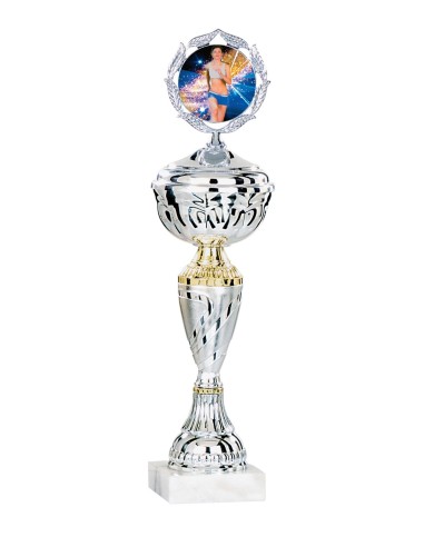 Coupe Économique Métal avec couvercle - 31 cm - Argent / Or - Réf FSP-1453WS08C