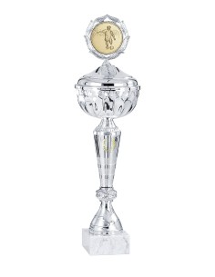 Coupe Économique Métal avec couvercle - 34 cm - Argent / Or - Réf FSP-1513WS09C