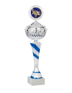 Coupe Économique Métal avec couvercle - 30 cm - Argent / Bleu - Réf FSP-1591WS07C
