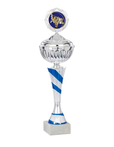Coupe Économique Métal avec couvercle - 35 cm - Argent / Bleu - Réf FSP-1593WS09C