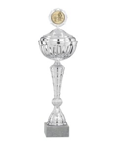 Coupe Économique Métal avec couvercle - 35 cm - Tout Argent - Réf FSP-1721WS08C