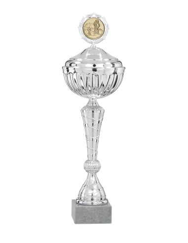 Coupe Économique Métal avec couvercle - 38 cm - Tout Argent - Réf FSP-1722WS09C